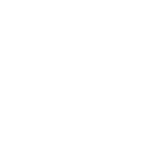 The Asylum